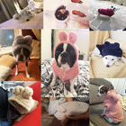 Хоодис собаки зимы изготовленные на заказ, одежды собаки и кошки холодного доказательства небольшие поставщик