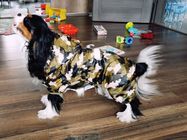 Пальто дождя собаки отражательного щенка небольшое, мягкая Бреатабле водоустойчивая куртка собаки поставщик