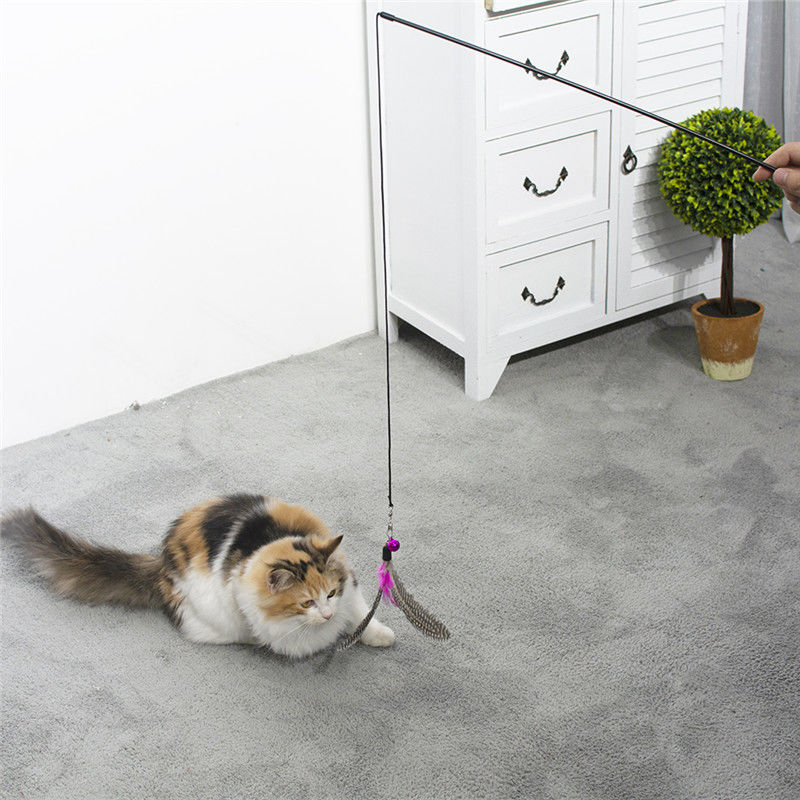 Игрушки кота изготовленной на заказ оптовой дразнилки палочки взаимодействующие для крытой игры котов поставщик