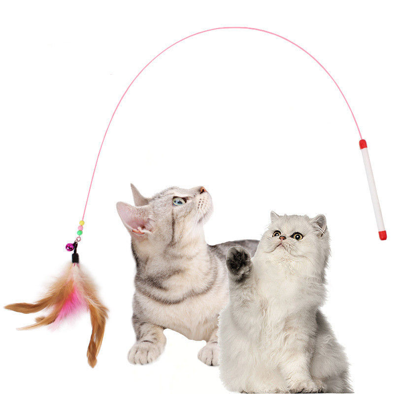 Красочный взаимодействующий кот забавляется кот колокола пера провода щекоча ручку с подгонянным логотипом поставщик