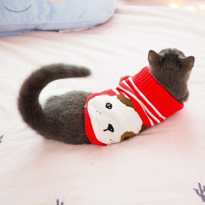 Подгонянный свитер кота картины нося, дизайнерский кот одевает размер СС - ССЛ поставщик
