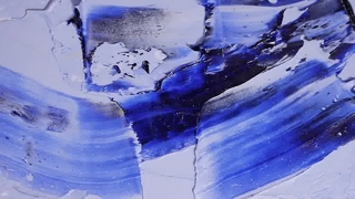 Симпатичный цветочный ошейник для домашних животных с индивидуальным логотипом