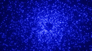 Современные игрушки для когтеточки для кошек