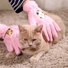 Розовая профессиональная перчатка чистки ванны перчаток холить любимца для кота/собаки поставщик