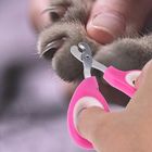 Розовые ножницы ногтя любимца цвета, дизайн точильщика ногтя Педикуре любимца эргономический поставщик