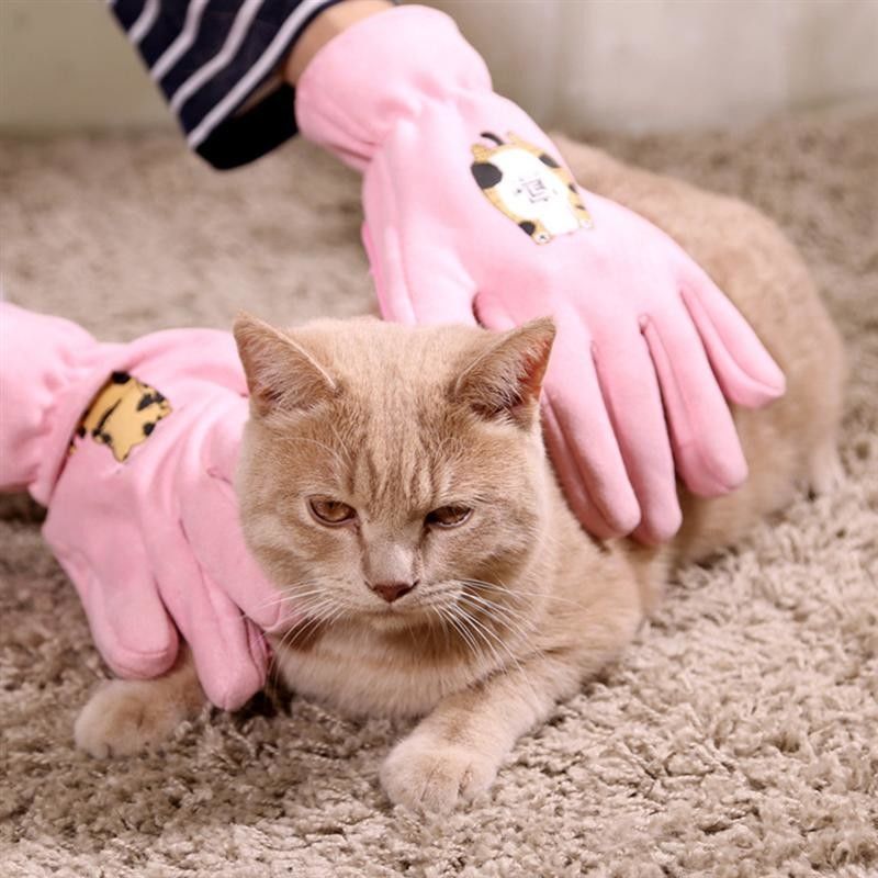 Розовая профессиональная перчатка чистки ванны перчаток холить любимца для кота/собаки поставщик